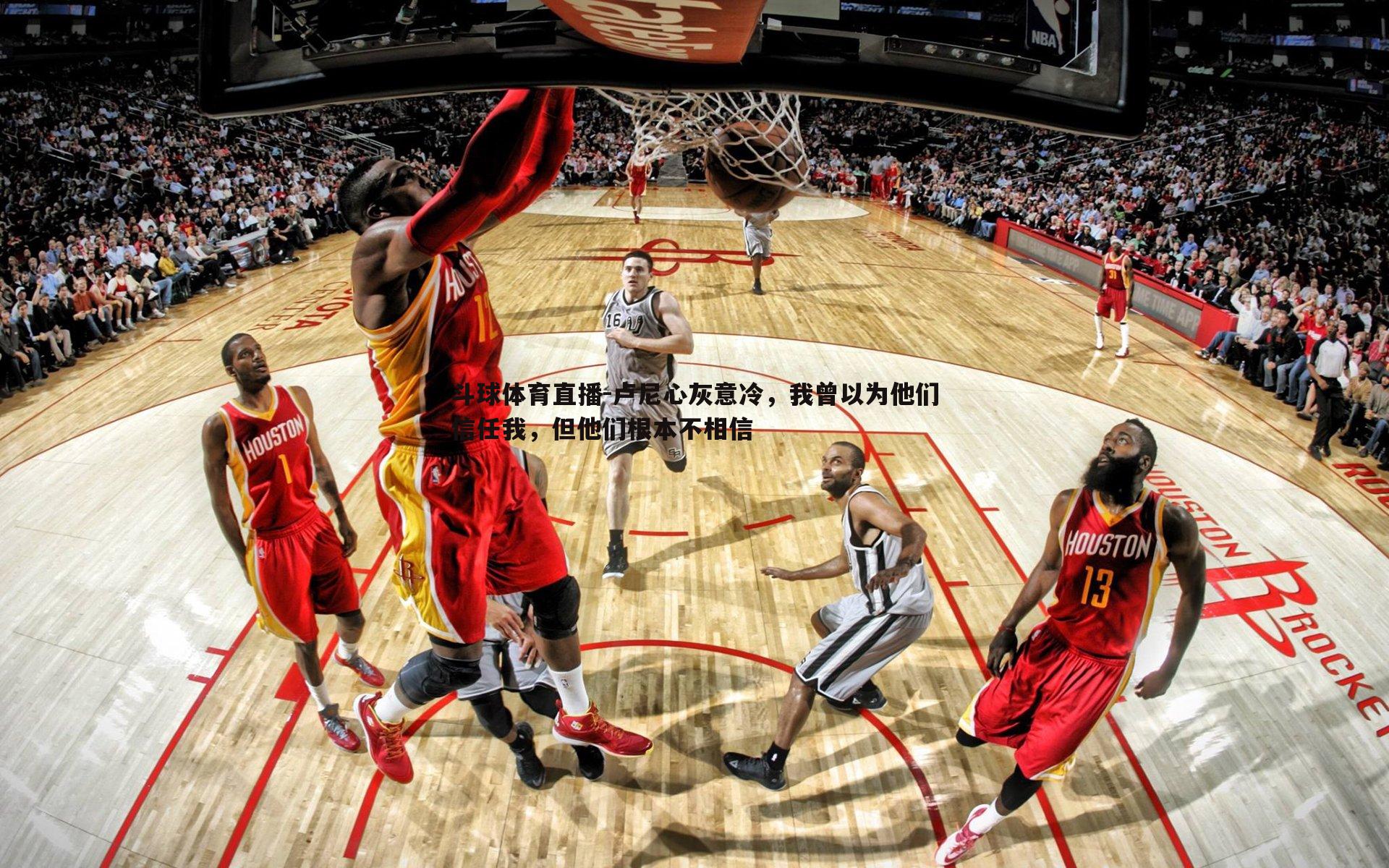 卢尼心灰意冷，我曾以为他们信任我，但他们根本不相信